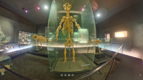 Heimatmuseum der Festung Kufstein in 360°